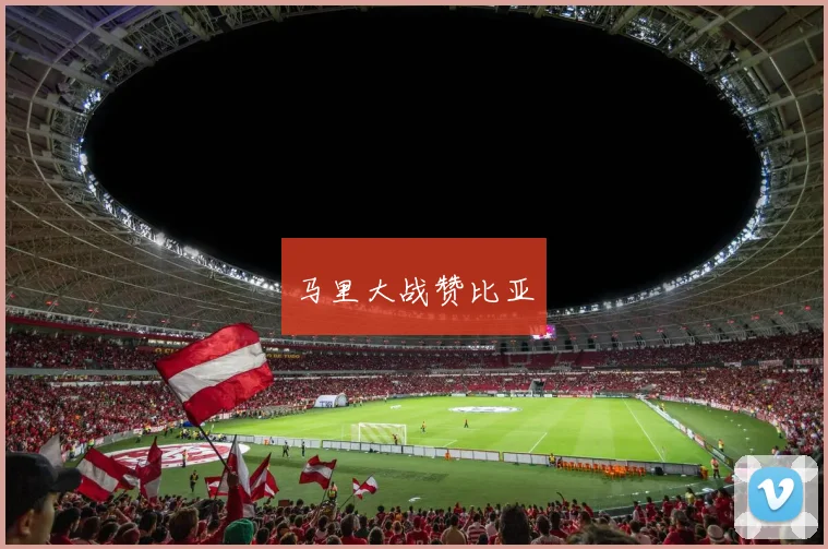 马里大战赞比亚