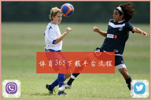 体育365下载平台流程