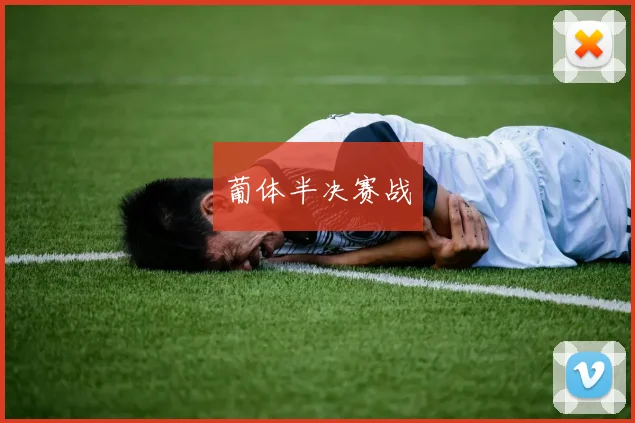 葡体半决赛战