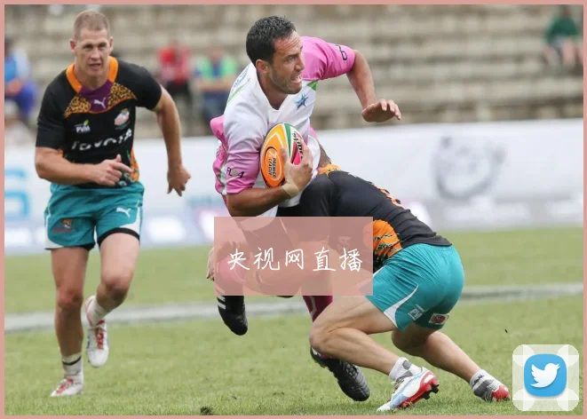 央视网直播