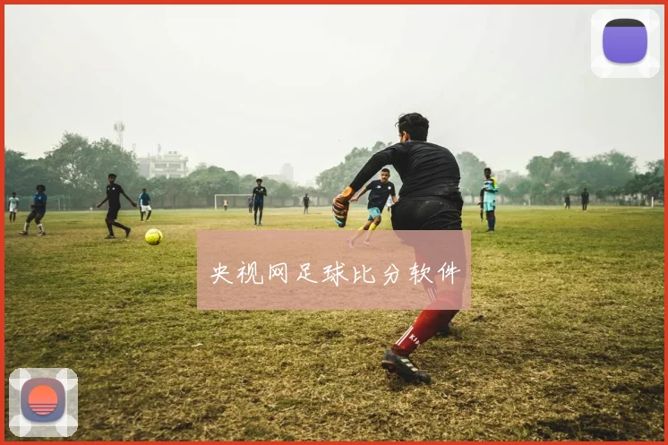 央视网足球比分软件