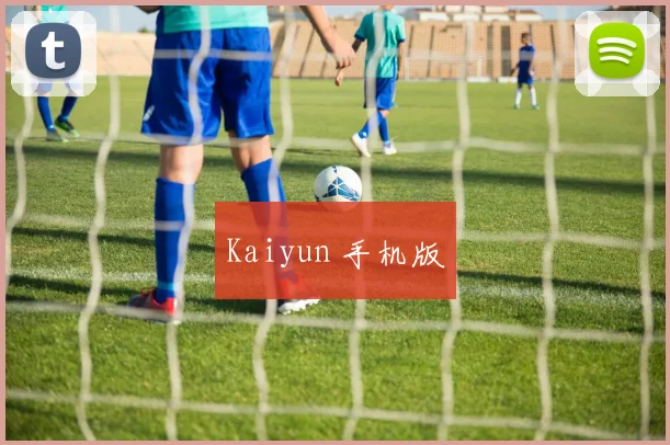 Kaiyun 手机版