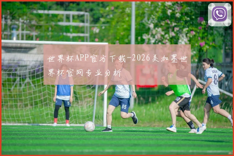 世界杯APP官方下载-2026美加墨世界杯官网专业分析