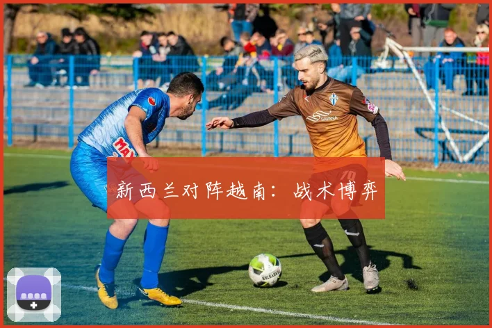 新西兰对阵越南：战术博弈