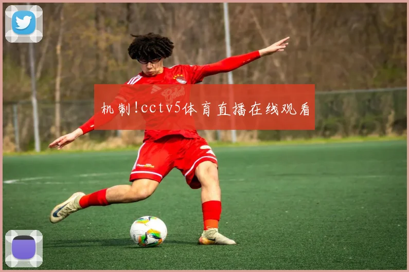机制!cctv5体育直播在线观看