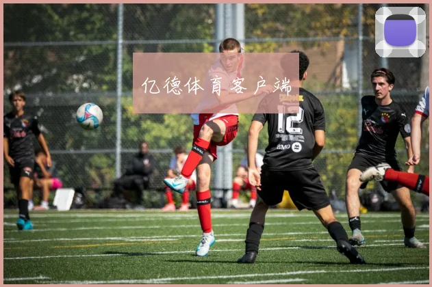 亿德体育客户端