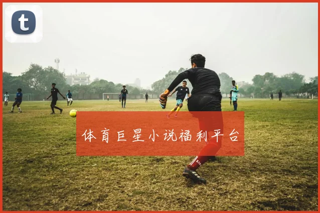 体育巨星小说福利平台