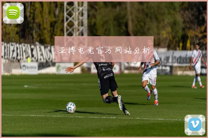 亚搏电竞官方网站分析