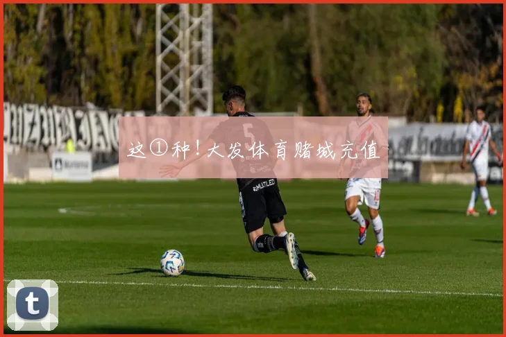 这①种!大发体育赌城充值