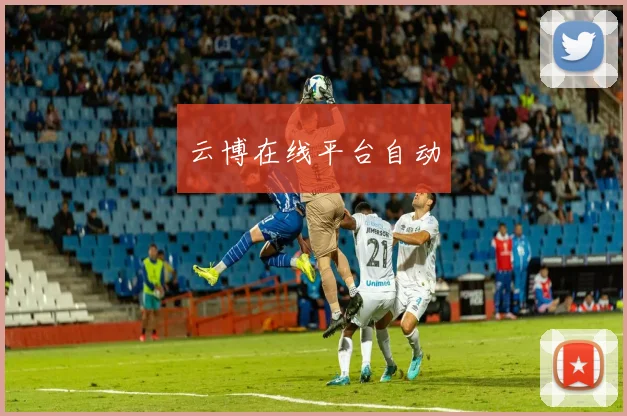 云博在线平台自动