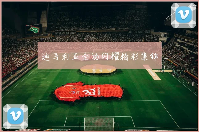 迪马利亚全场闪耀精彩集锦