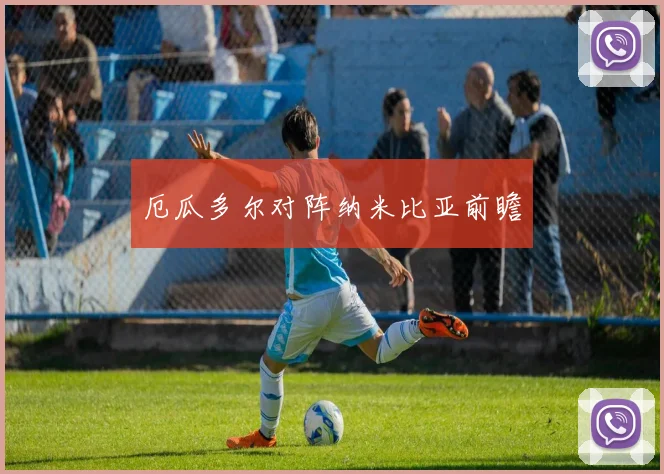 厄瓜多尔对阵纳米比亚前瞻