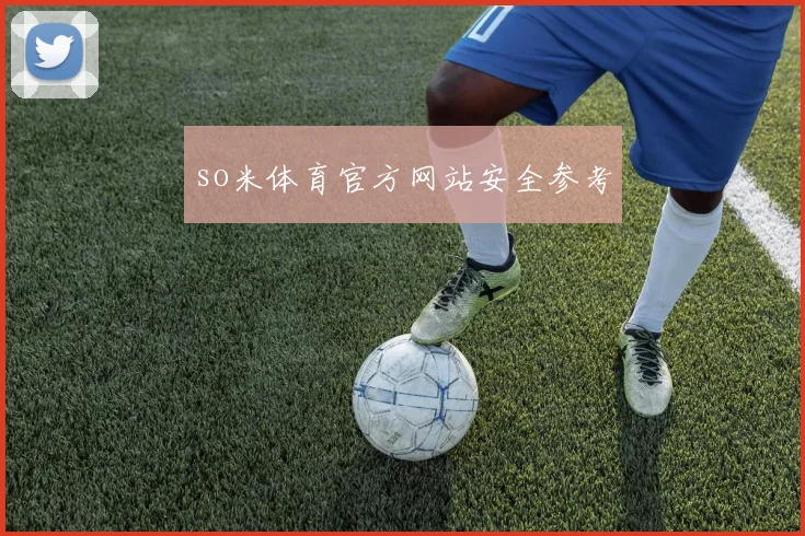 so米体育官方网站安全参考