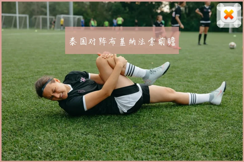 泰国对阵布基纳法索前瞻