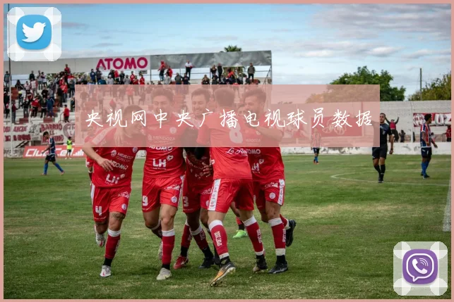 央视网中央广播电视球员数据