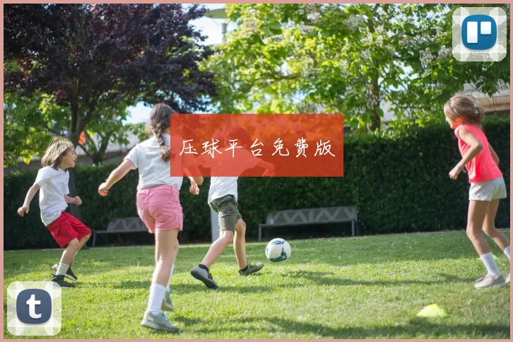压球平台免费版
