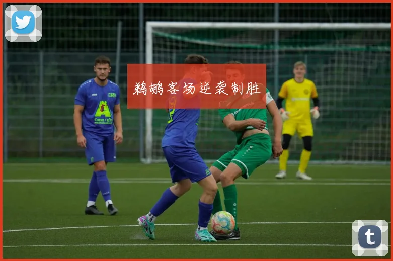鹈鹕客场逆袭制胜