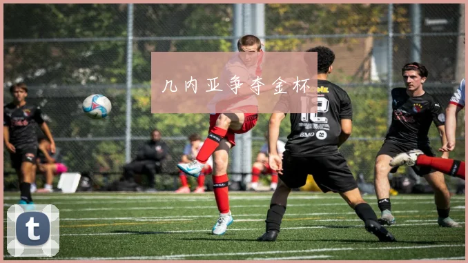 几内亚争夺金杯
