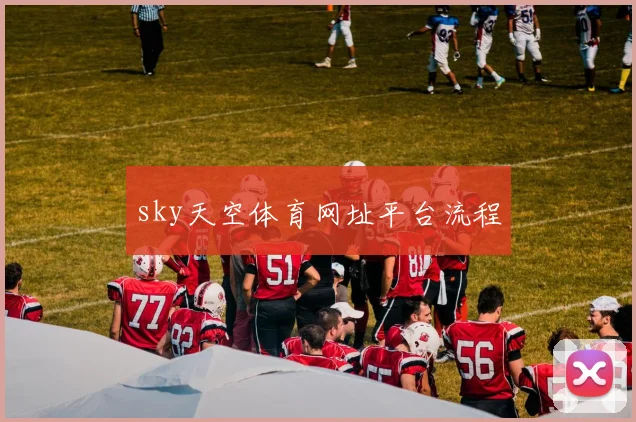 sky天空体育网址平台流程
