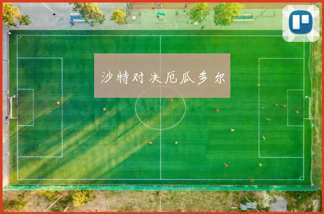 沙特对决厄瓜多尔