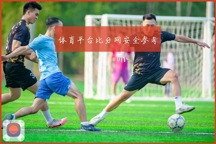 体育平台比分网安全参考