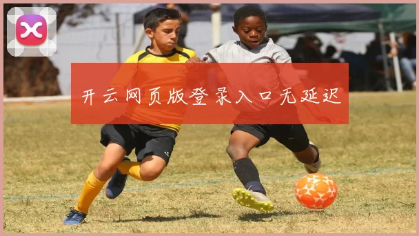 开云网页版登录入口无延迟