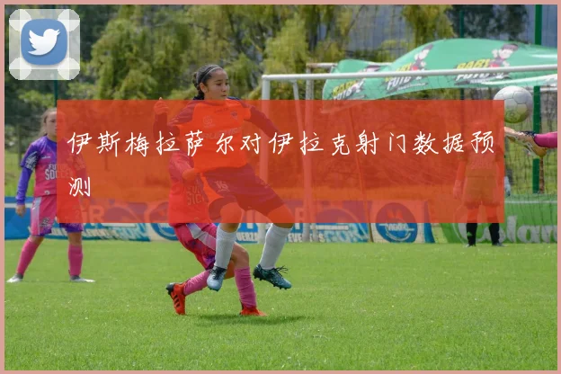 伊斯梅拉萨尔对伊拉克射门数据预测
