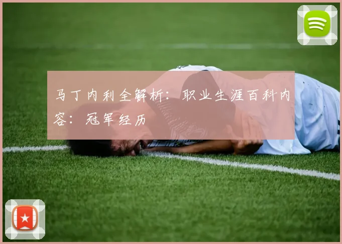 马丁内利全解析：职业生涯百科内容：冠军经历