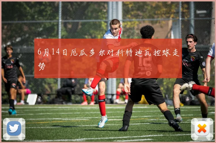 6月14日厄瓜多尔对科特迪瓦控球走势