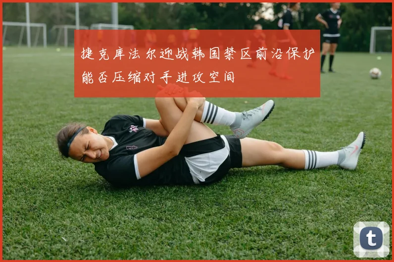 捷克库法尔迎战韩国禁区前沿保护能否压缩对手进攻空间