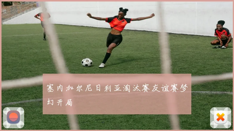 塞内加尔尼日利亚淘汰赛友谊赛梦幻开局