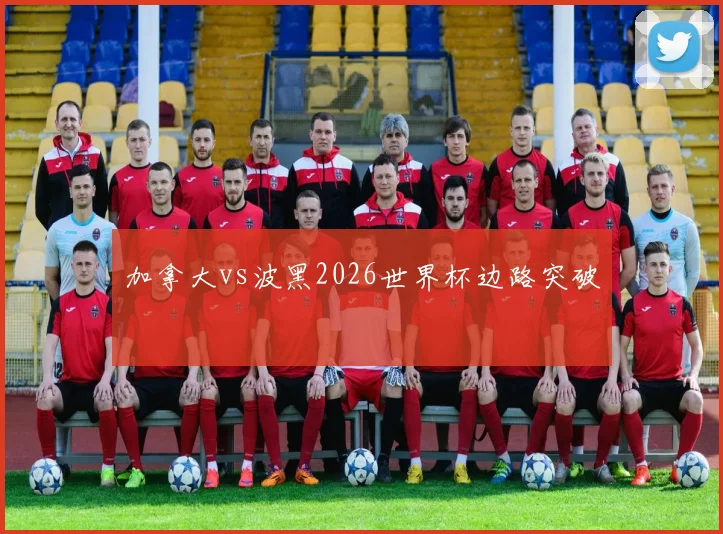 加拿大vs波黑2026世界杯边路突破